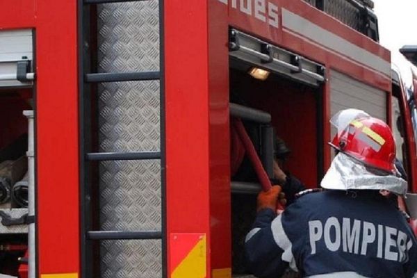 VIDEO Zeci de stupi s-au făcut scrum. Focul a fost pus intenționat