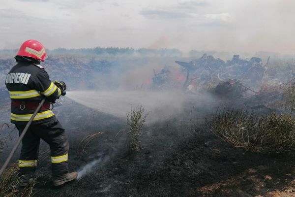 Culturi de grâu și vegetație uscată în flăcări în județul Tulcea 