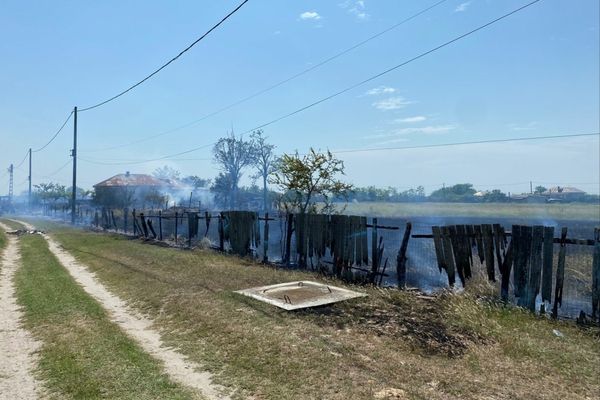 FOTO VIDEO  Incendiu violent în Delta Dunării la Caraorman