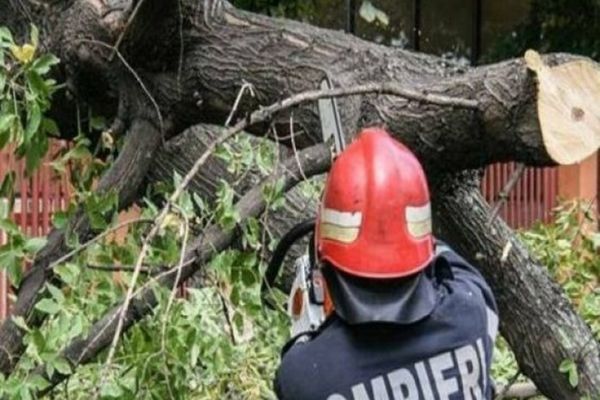 FOTO VIDEO Județul Tulcea, sub cod galben. Inundații și drumuri blocate