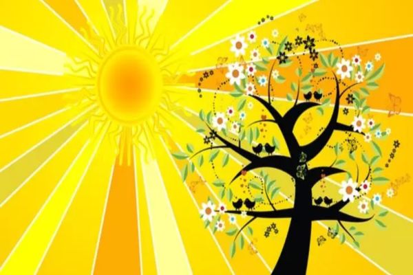 Solstițiul de vară. 21 iunie 2022, ziua în care Soarele stă - cea mai lungă din an