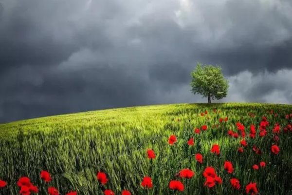 Prognoza meteo 13 iunie: vreme instabilă - temperaturile urcă la 31 de grade