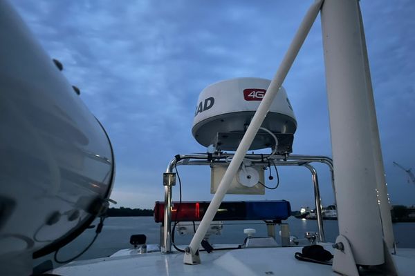 Bărbatul dispărut în Dunăre, găsit mort