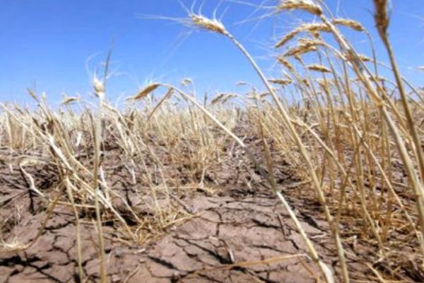 România, lovită de CANICULĂ și SECETĂ - prognoza meteo pe o lună