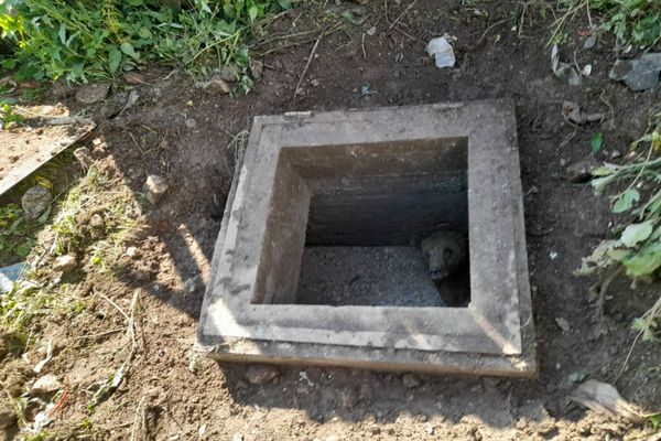 Tragedie fără margini în Mureş! Trei persoane au murit după ce au căzut într-o fosă septică