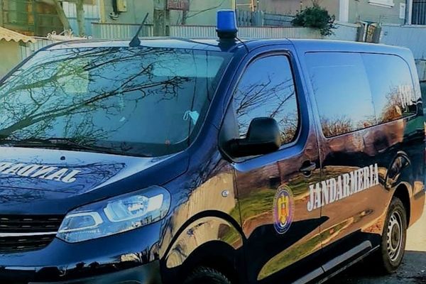 Măsuri de ordine și siguranță la Sărbătoarea Teilor