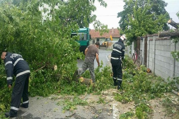 Cod roșu de furtuni. Vijeliile au făcut prăpăd în țară -  VIDEO