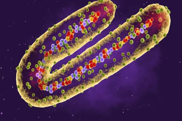 Virusul mortal care ridică îngrijorări majore în rândul medicilor - au fost raportate deja decese