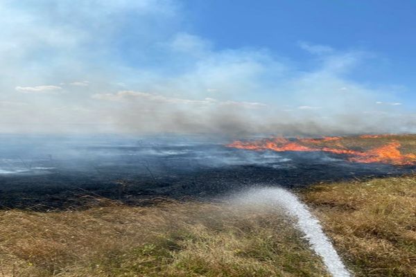 VIDEO Incendiu de proporții în zona poligonului Babadag