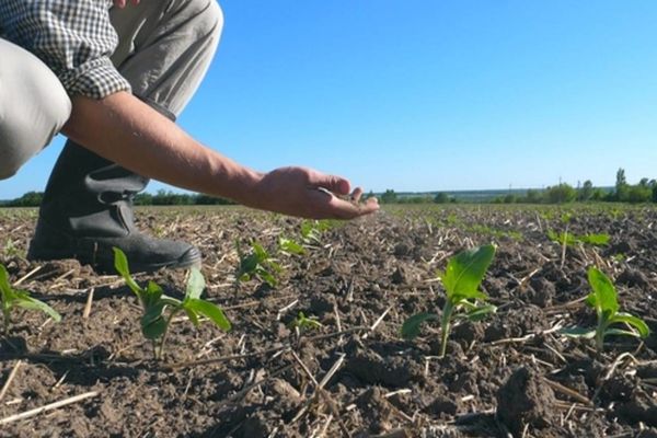 România vinde apă Ungariei, iar în țară se dă apă cu porția 