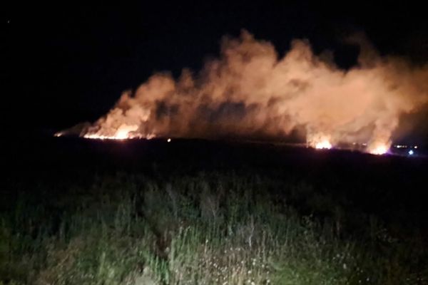 Incendii in lanț în județul Tulcea.  Suprafața cuprinsă de flăcări fiind de aproximativ 190 de ha