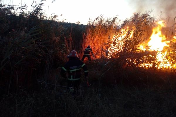 VIDEO Incendiu violent în zona Zaghen. Focul a fost pus intenționat