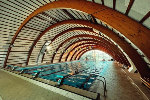 Cupa ,,Delta Dunării” la înot