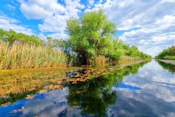 VIDEO FOTO  Delta Dunării luată cu asalt de mii turiști în primele luni ale anului