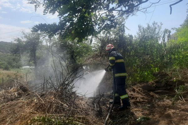 Incendiu de vegetație în Măgurele , izbucnit din cauza unei țigări
