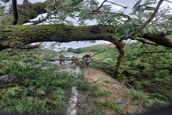    FOTO Urmările codului roșu în Tulcea. Copaci căzuți și gospodării inundate