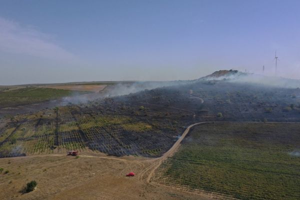 FOTO VIDEO Incendiu violent în apropierea municipiului Tulcea