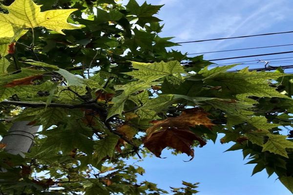 Cum va fi vremea în septembrie