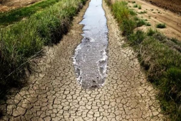 SECETA face ravagii: aproape 200.000 de hectare calamitate. Probleme la centrala de la Cernavodă