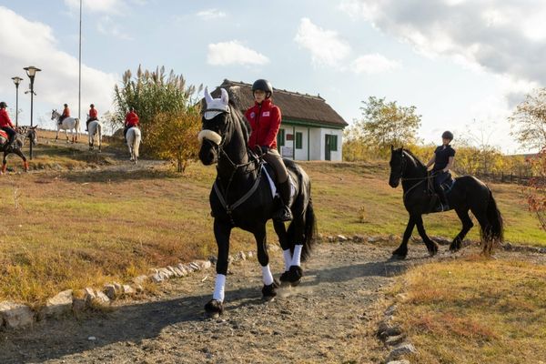 CAVALERUL DANUBIAN. Echitație la porțile DELTEI