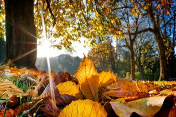 Vremea 14 septembrie - Încălzirea temperaturilor în majoritatea regiunilor din țară