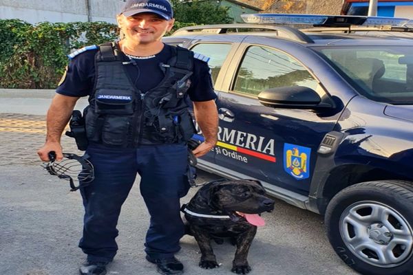 Weekend plin de evenimente la Tulcea. Recomandările jandarmilor