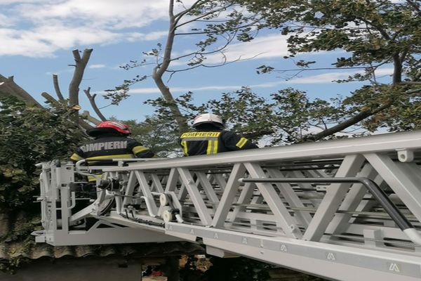 Efectele codului galben în Tulcea