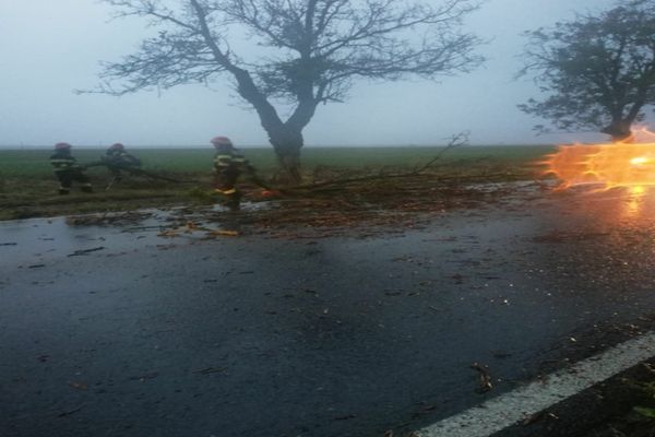 Tulce a sub cod portocaliu de averse, grindină, vânt și descărcări electrice