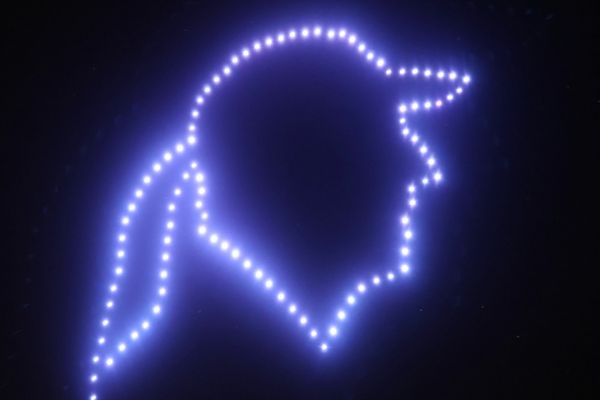 A început Festivalul Ivan Patzaichin - Rowmania 2022