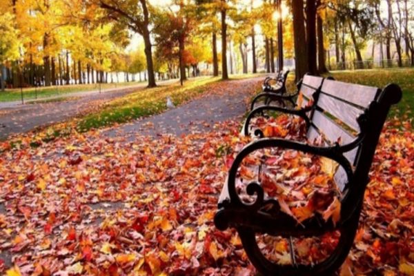 Weekend cu temperaturi mai ridicate. Unde vin ploile