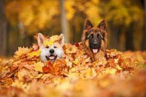 Vremea 1 octombrie - Temperaturi de vară, peste 31 de grade - Ce zone sunt vizate de furtuni