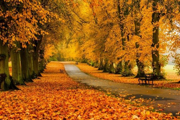  Temperaturi nefiresc de mari pentru final de Octombrie