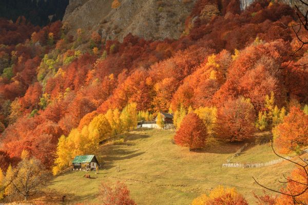 Escapadele la munte și city break-uri în țară, cele mai căutate în această perioadă