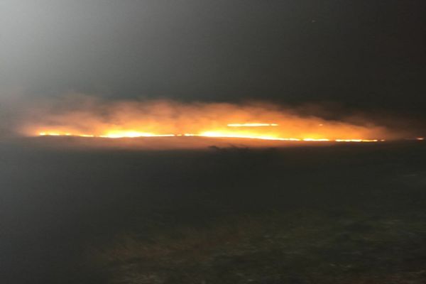Incendiu violent de vegetație uscată în Delta Dunării