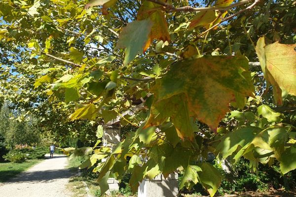 Vremea în weekend: temperaturi până la 24 de grade - Ce iarnă ne așteaptă