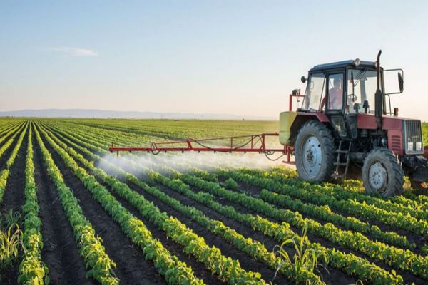 Agricultorii care își fac singuri tratamente fitosanitare în livadă sau pe câmp ar putea face pușcărie