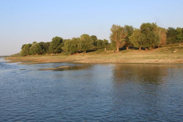 Anchetă uriașă în Caraș Severin. 3 polițiști, acuzați de tentativă de crimă în stil mafiot. Au vrut să înece un bărbat în Dunăre