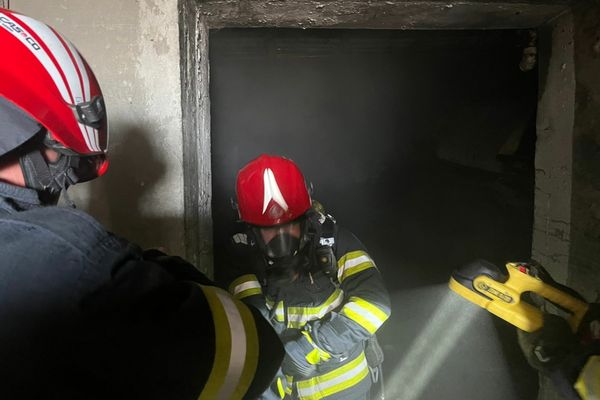 VIDEO Incendiu la o fostă fabrică de mezeluri din Tulcea. Autoritățile în alertă