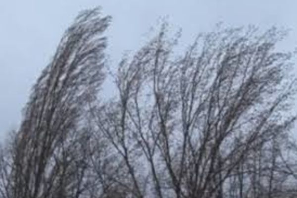 Cod galben de VÂNT în Dobrogea