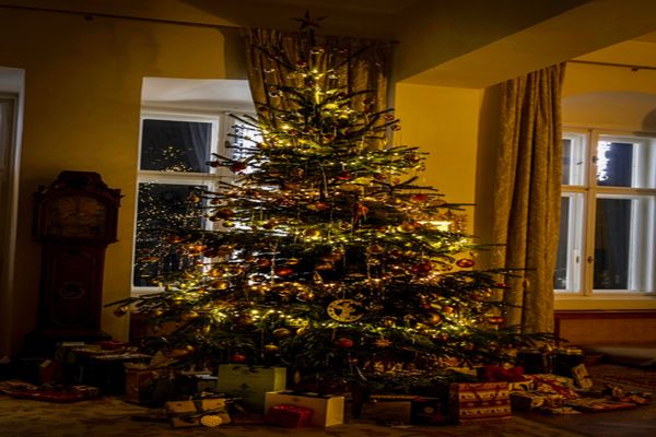 Familia regală a României anunță că petrece și în acest an Crăciunul și Anul Nou la Săvârșin