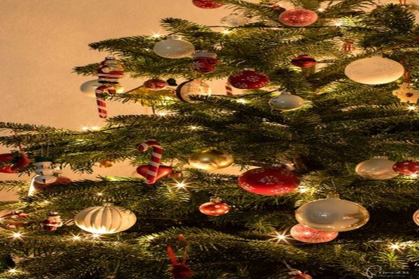 Tradiţii de Crăciun. Cum sărbătoresc europenii