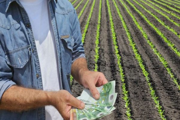 APIA a transferat în conturile fermierilor peste 648 milioane euro