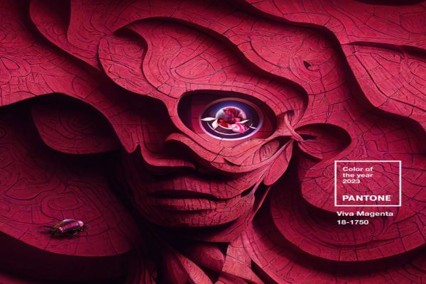 Culoarea anului 2023: Viva Magenta