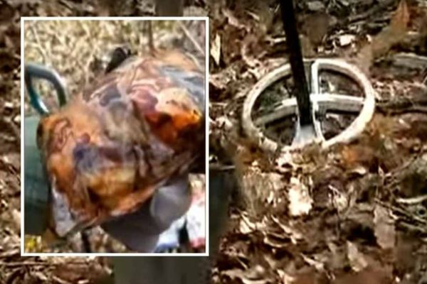 Căutătorii de comori au găsit colete cu droguri îngropate în Pădurea Băneasa