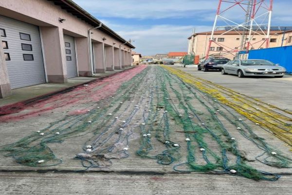 FOTO Braconaj în Delta Dunării. 1,5 km de plase și zeci de kilograme de pește scoase din apă