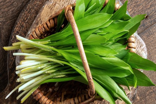 Cel mai puternic antibiotic natural: alimentul care crește imunitatea și luptă cu virușii