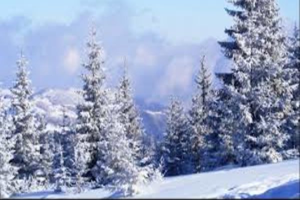 Vremea 29 ianuarie. Ninsori și vânt puternic 