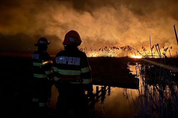 FOTO VIDEO Zeci de hectare de stuf incendiate [n județul Tulcea
