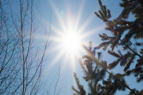 Prognoza 18 februarie - vremea extremelor. Unde sunt așteptate maxime de primăvară și în ce zone mai ninge