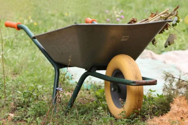 Amenzi pentru românii care stau la curte. Atenţie la arderea resturilor vegetale!